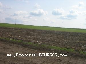 View of Land for sale, plots For sale in Troianovo