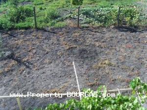View of Houses For sale in Polski Izvor