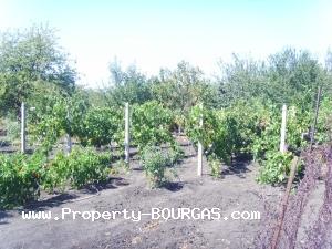View of Houses For sale in Polski Izvor