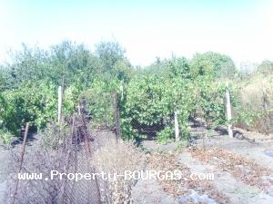 View of Houses For sale in Polski Izvor