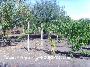 View of Houses For sale in Polski Izvor