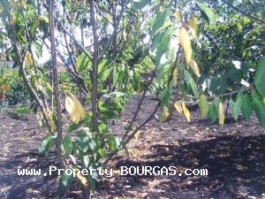 View of Land for sale, plots For sale in Polski Izvor