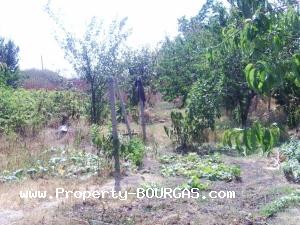 View of Houses For sale in Kamenar