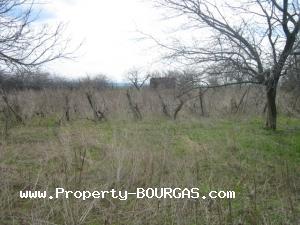 View of Houses For sale in Asparuhovo
