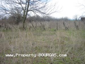 View of Houses For sale in Asparuhovo