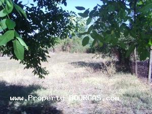 View of Houses For sale in Polski Izvor