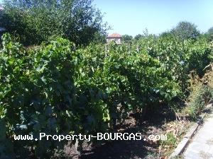 View of Houses For sale in Polski Izvor