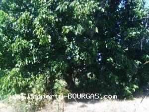 View of Houses For sale in Polski Izvor