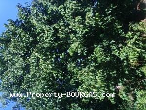 View of Houses For sale in Polski Izvor