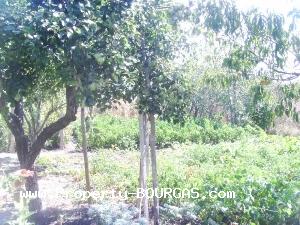 View of Houses For sale in Polski Izvor