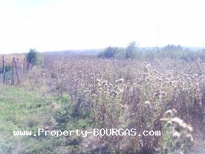 View of Houses For sale in Trastikovo