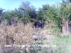 View of Houses For sale in Trastikovo