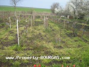 View of Land for sale, plots For sale in Trastikovo