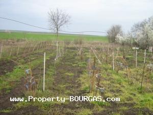 View of Land for sale, plots For sale in Trastikovo