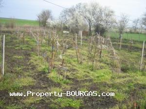 View of Land for sale, plots For sale in Trastikovo