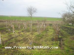 View of Land for sale, plots For sale in Trastikovo