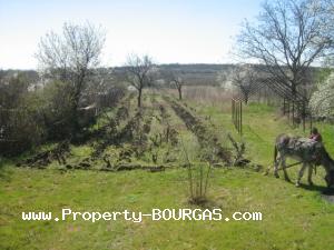 View of Houses For sale in Vratitsa