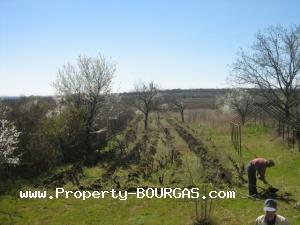 View of Houses For sale in Vratitsa
