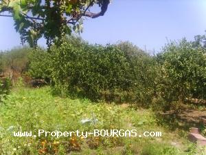View of Houses For sale in Laka