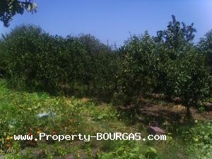 View of Houses For sale in Laka