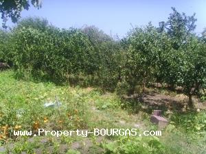 View of Houses For sale in Laka