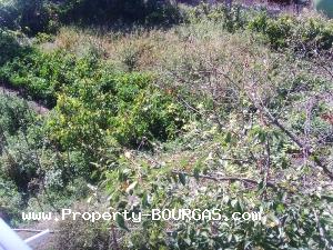 View of Houses For sale in Trastikovo