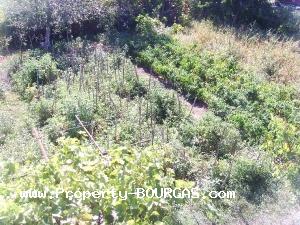 View of Houses For sale in Trastikovo