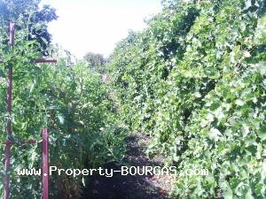 View of Houses For sale in Trastikovo