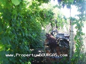 View of Houses For sale in Trastikovo