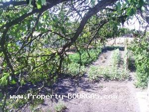 View of Houses For sale in Trastikovo