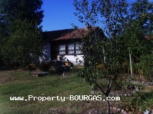 View of Houses For sale in Trastikovo