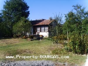 View of Houses For sale in Trastikovo