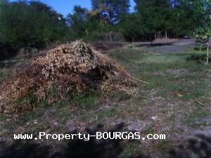 View of Houses For sale in Trastikovo