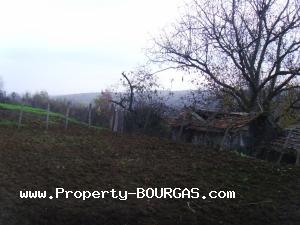 View of Houses For sale in Novo Panicharevo