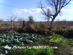 View of Houses For sale in Livada