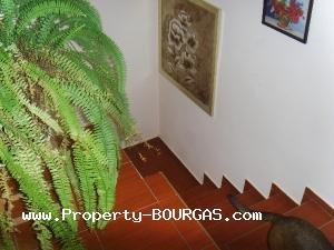 View of Houses For sale in Mirolubovo