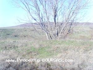 View of Houses For sale in Mirolubovo