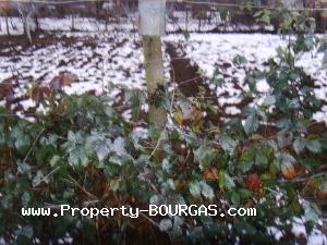 View of Houses For sale in Fakia