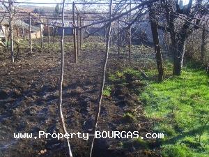 View of Houses For sale in Briastovets