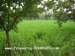 View of Houses For sale in Bratovo