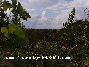 View of Houses For sale in Konstantinovo