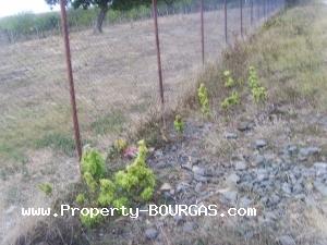 View of Land for sale, plots For sale in Konstantinovo