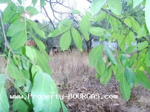 View of Land for sale, plots For sale in Izvor /Burgas/