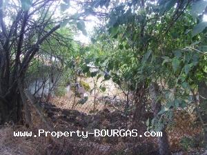 View of Land for sale, plots For sale in Izvor /Burgas/