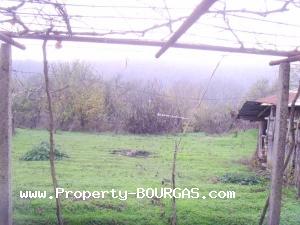 View of Houses For sale in Iasna Poliana
