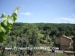 View of Houses For sale in Novo Panicharevo