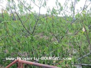 View of Houses For sale in Mirolubovo