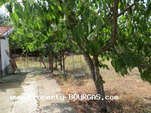 View of Houses For sale in Mirolubovo