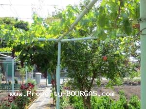 View of Houses For sale in Balgarovo