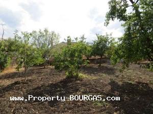 View of Houses For sale in Balgarovo